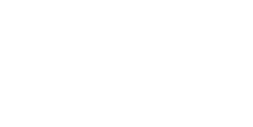 salomon-logo-white
